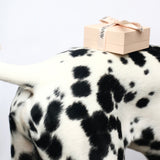 LUXURY GIFT WRAPPING