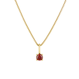 JANUARY BIRTHSTONE NECKLACE PETITE