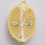 MARGUERITE STUD EARRINGS