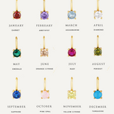 JANUARY BIRTHSTONE NECKLACE PETITE